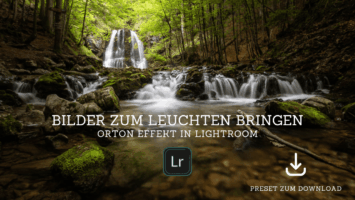 Bilder zum Leuchten bringen – Orton Effekt in Lightroom
