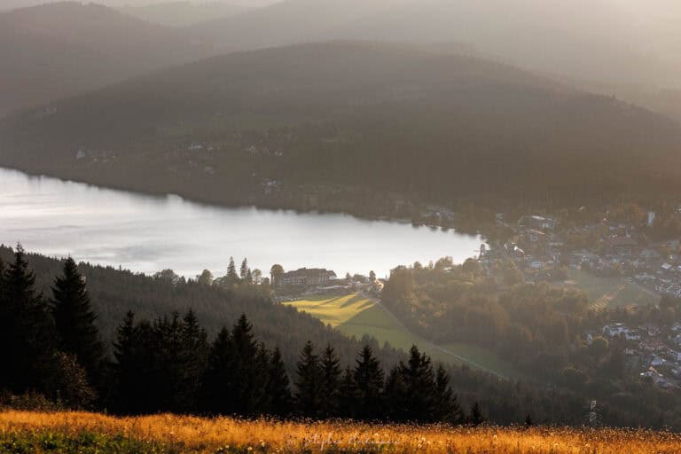 Blick vom Hochfirst auf den Titisee im goldenen Abendlicht des Schwarzwalds