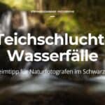 Teichschlucht-Wasserfälle – Geheimtipp für Naturfotografen im Schwarzwald