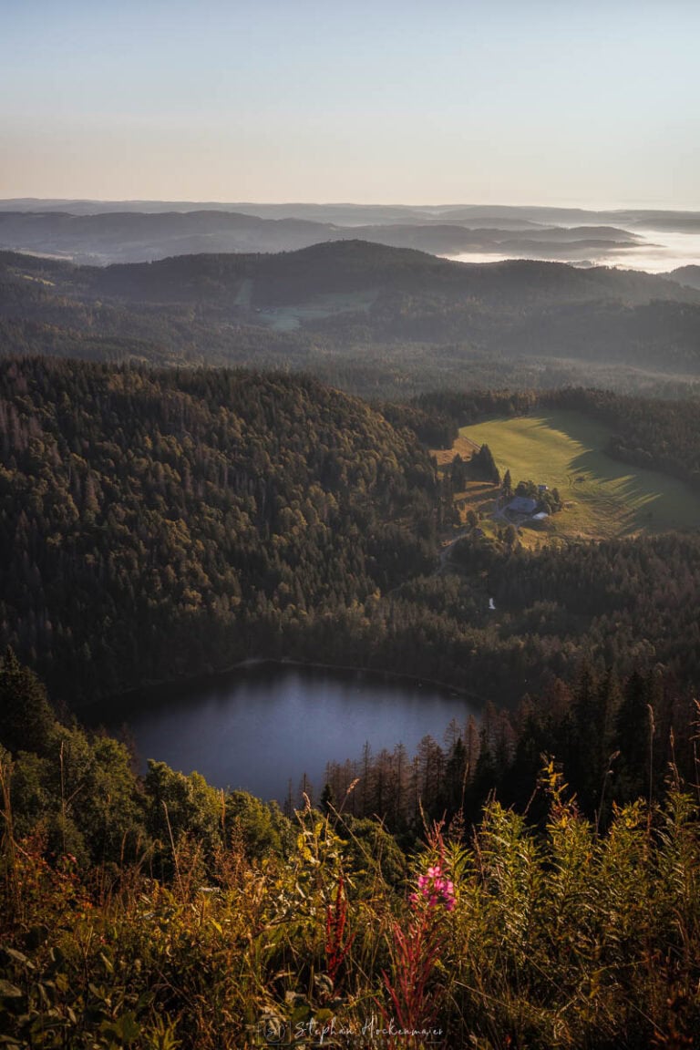 Blick auf den Feldsee im Schwarzwald vom Bismarckturm am Feldberg aus bei Morgenlicht