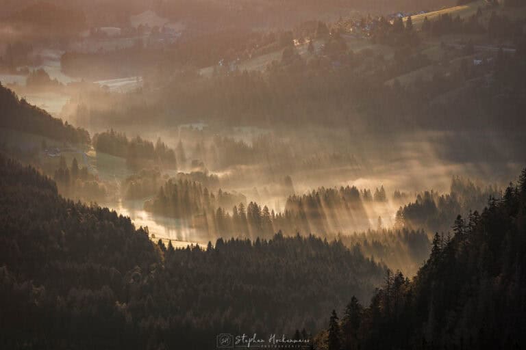 Morgennebel und Sonnenstrahlen über bewaldeten Hügeln im Schwarzwald – aufgenommen vom Feldberg