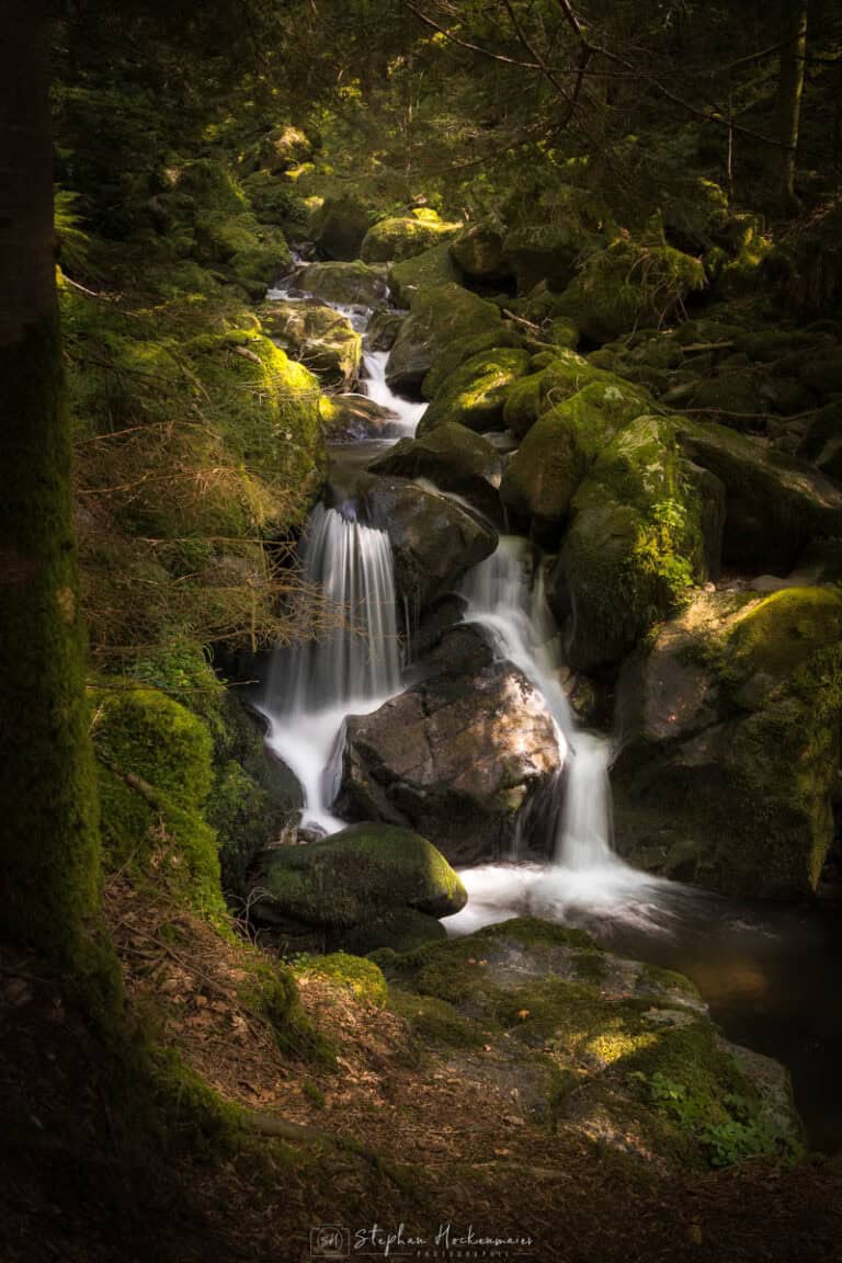 Lichtspots fallen auf einen moosbedeckten Wasserfall in der Teichschlucht im Schwarzwald