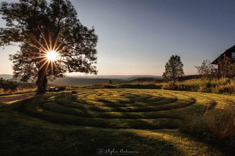 Sonnenaufgang am Kandel im Schwarzwald mit Sonnenstern hinter einem Baum und spiralförmig gemähter Wiese im Vordergrund