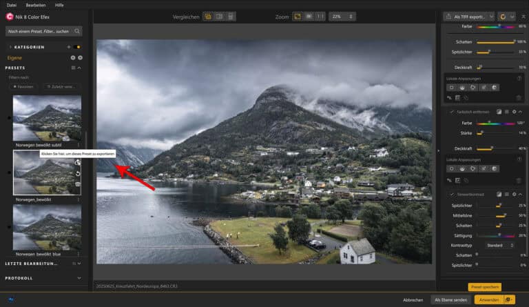 Screenshot aus Nik Color Efex 8: Preset-Verwaltung mit Option zum Exportieren eines benutzerdefinierten Looks