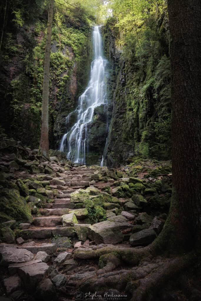 Baum im Vordergrund sorgt für Tiefe am Burgbachwasserfall im Schwarzwald