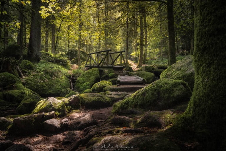 Holzbrücke in der Gertelbachschlucht im Schwarzwald mit moosbedeckten Steinen und Wald