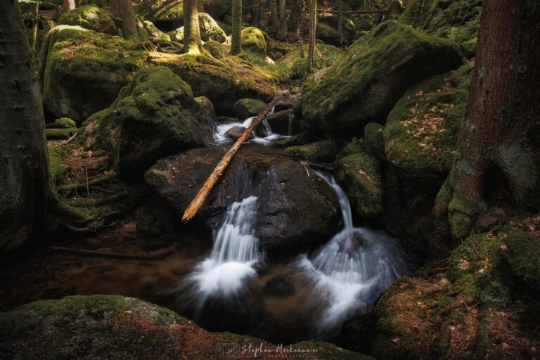 Kleiner Wasserfall über eine Felsstufe in der Gertelbachschlucht im Schwarzwald mit moosbedeckten Felsen