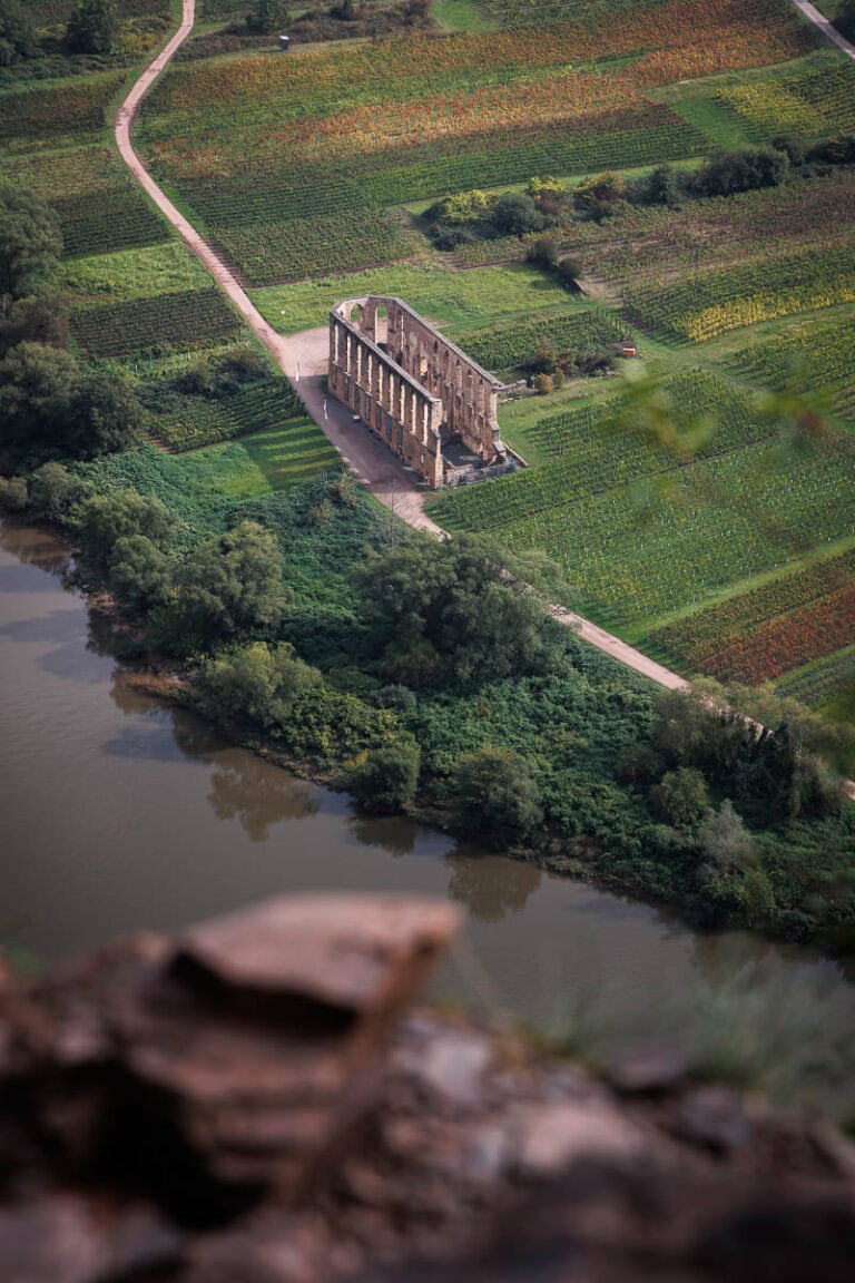 Teleaufnahme der Klosterruine Stuben zwischen den Weinbergen innerhalb der Moselschleife bei Bremm