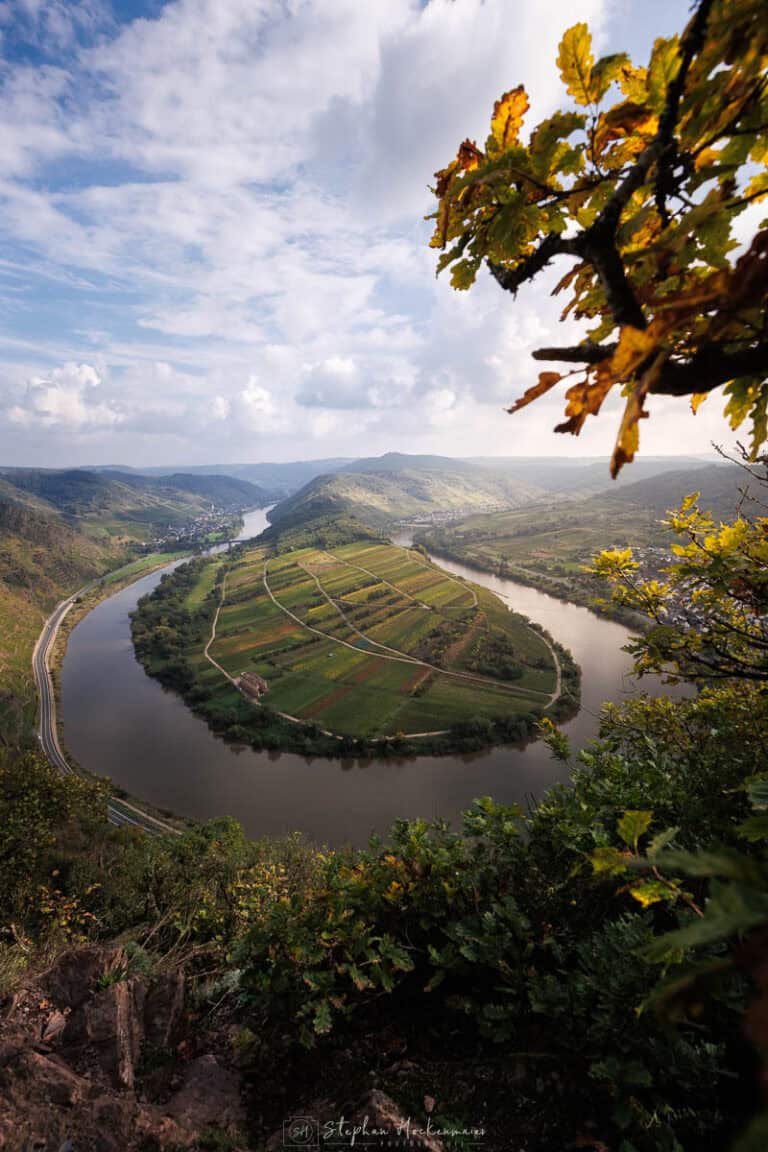 Blick vom Aussichtspunkt auf die Moselschleife bei Bremm mit Weinbergen, Mosel und Klosterruine Stuben