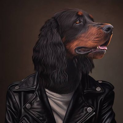 hund_portrait_gordon_setter_in_rocker_kleidung_geschenkidee