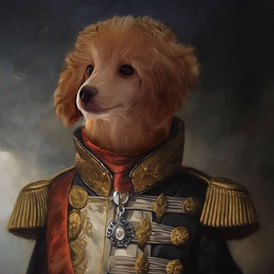 hund_portrait_pudel_in_admiral_2_renaissance_mittelalter_kleidung_geschenkidee