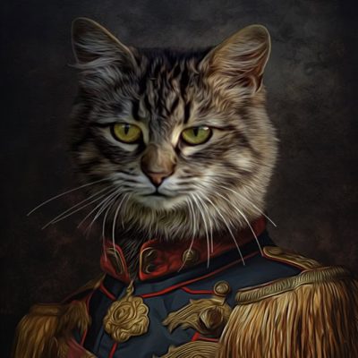 Portrait einer Europäisch Kurzhaar Katze im Napoleon Stil
